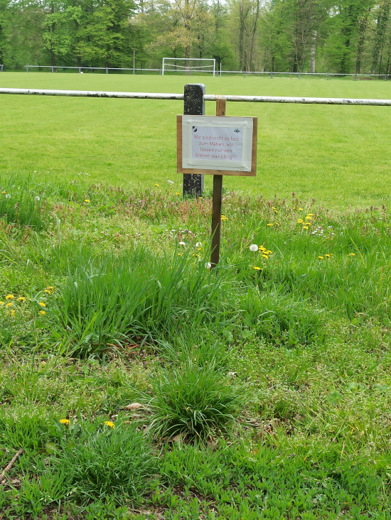 Blumenwiese 2021 05